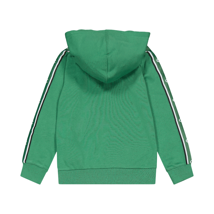Hooded Sweatshirt Foliage Green
