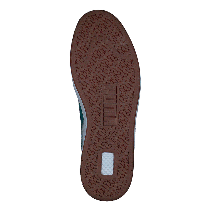 Court Ultra Puma White-green Lagoon-puma G