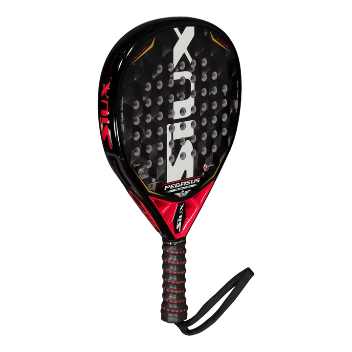 Siux Pegasus Revolution 3d Gra