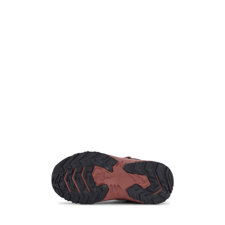 Root Tex Infant Nostalgia Rose