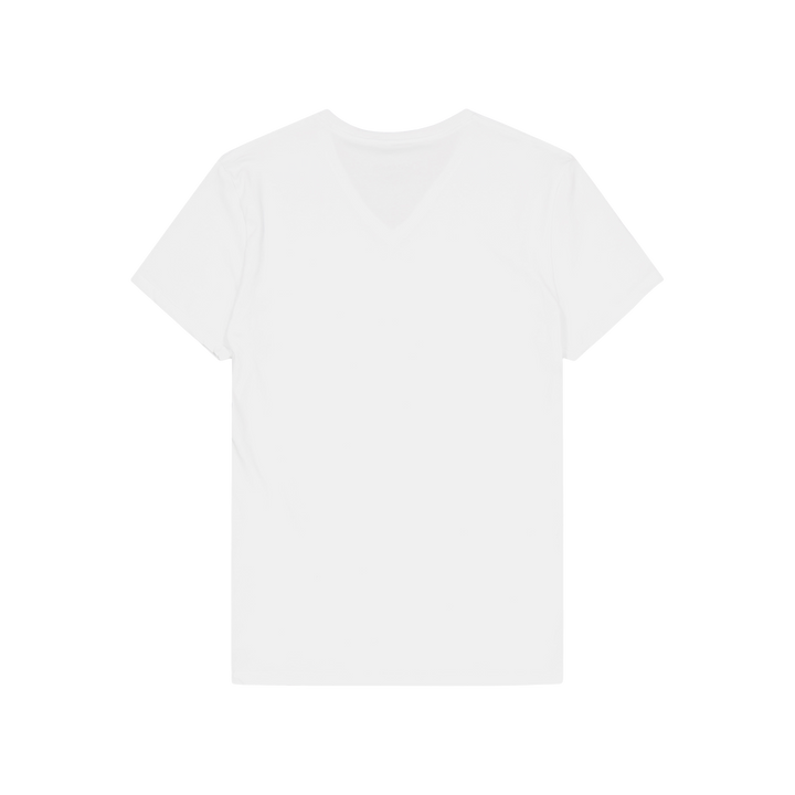 2-pack V-neck