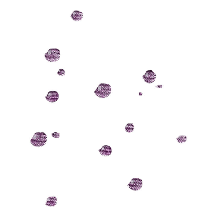 Softshell jacket Vantti Deep purple