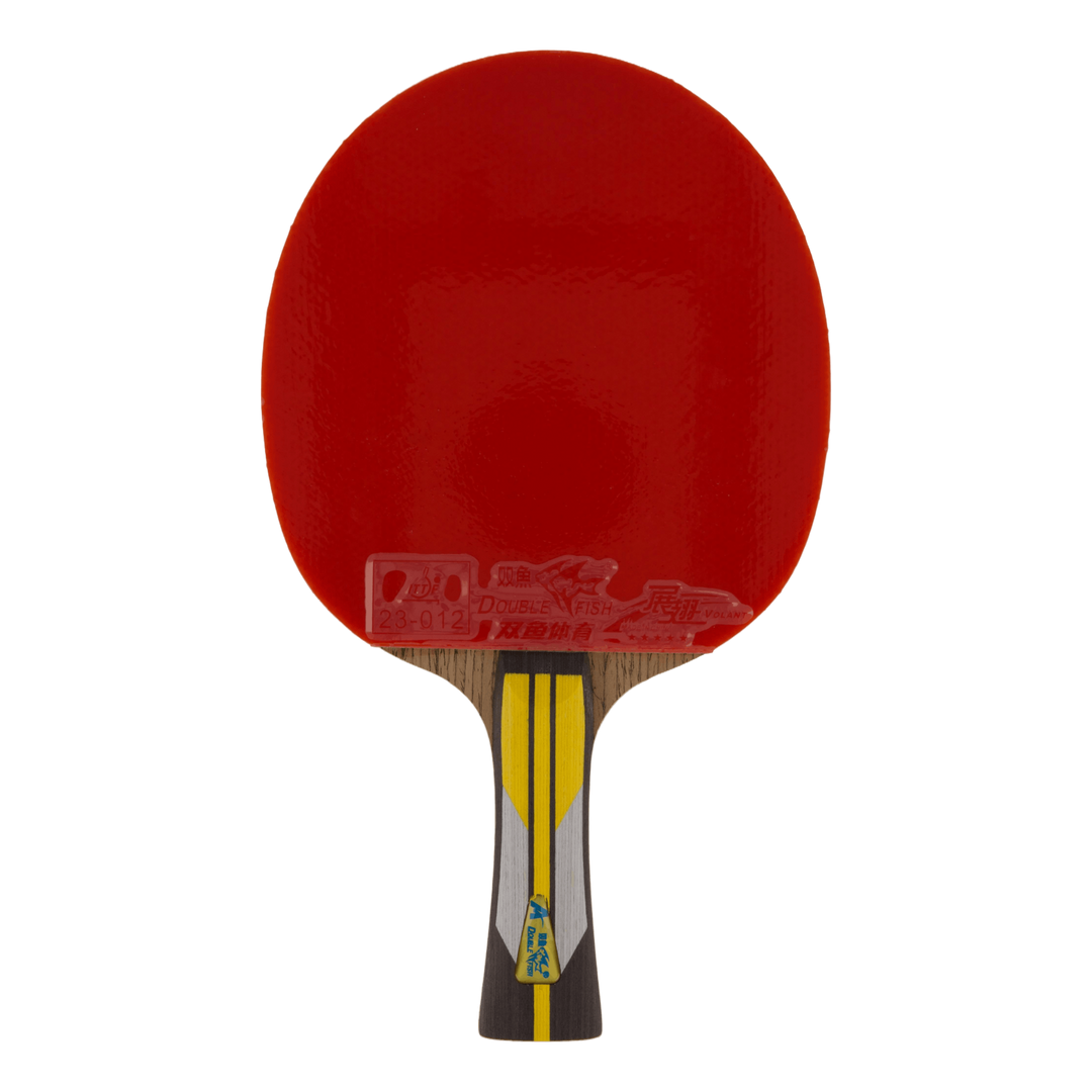 6a+ Table Tennis Racket