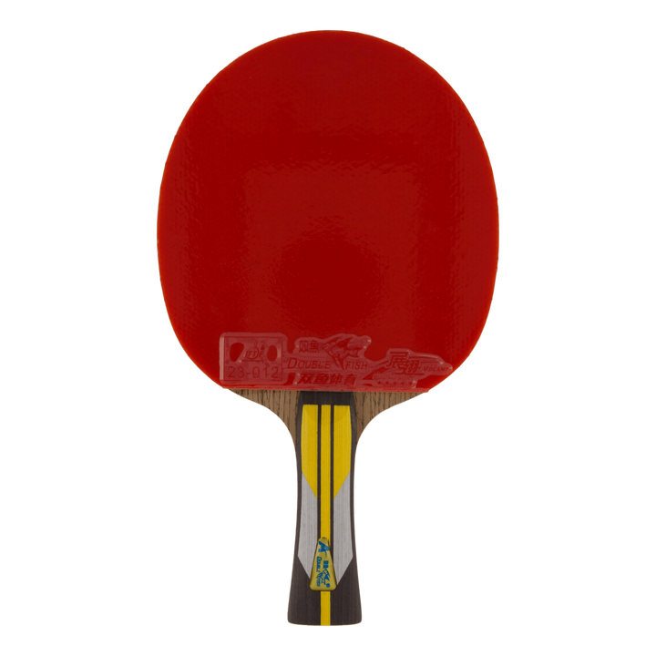 6a+ Table Tennis Racket