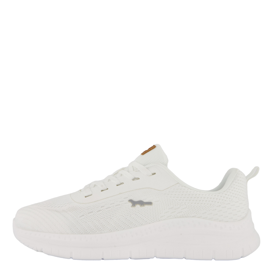 Arcus California White