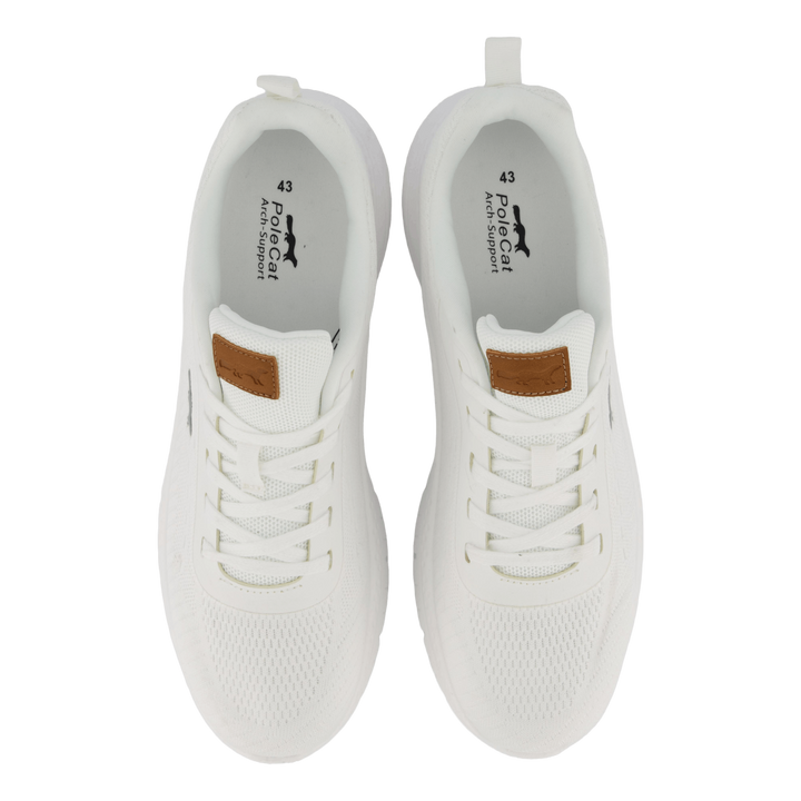 Arcus California White