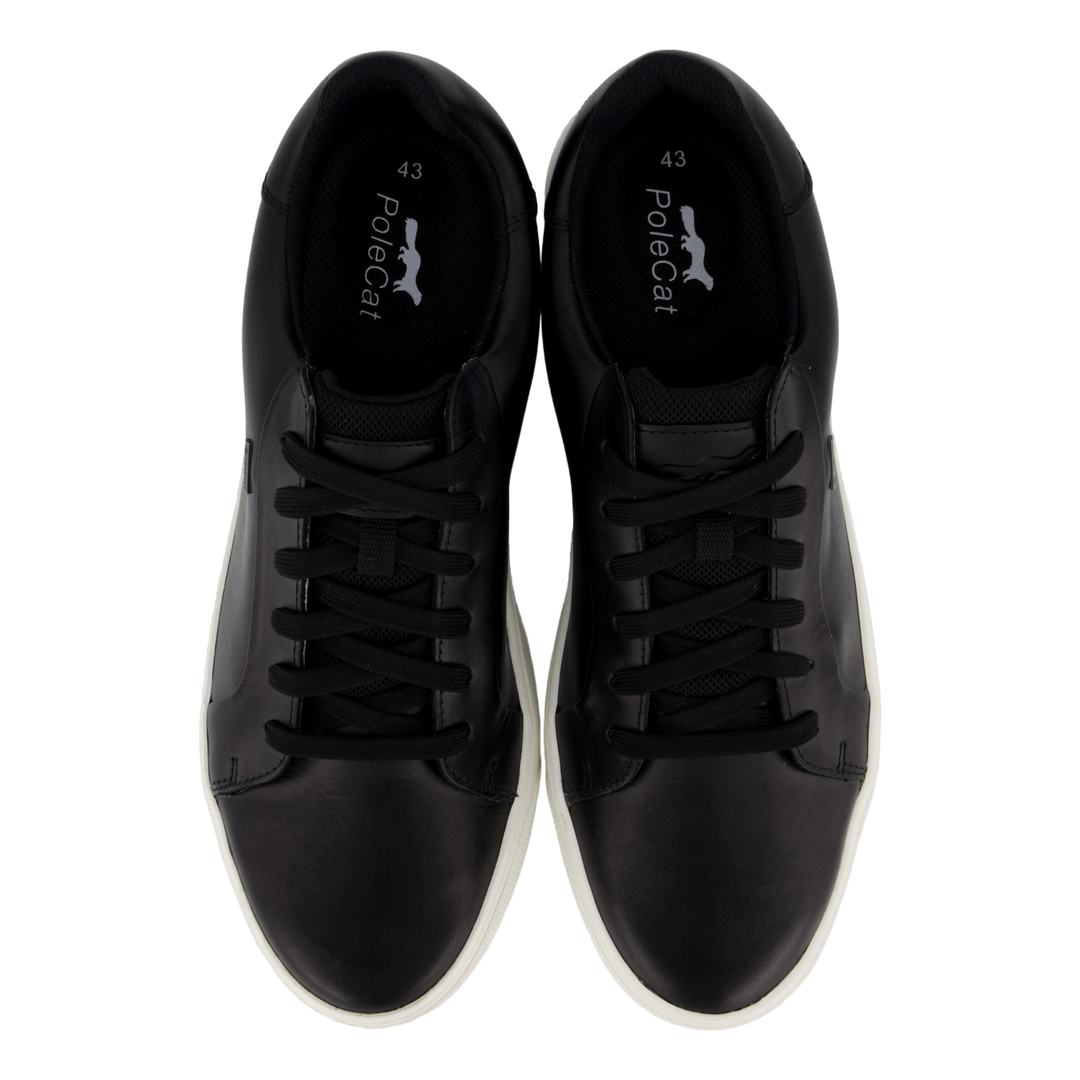 Rex Turin Gtx Black