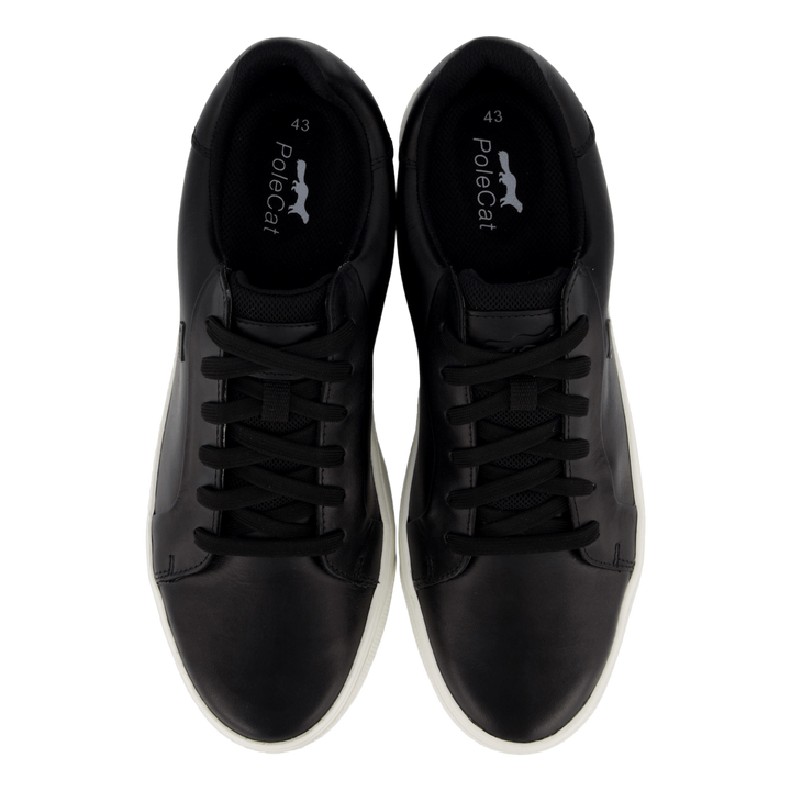 Rex Turin Gtx Black