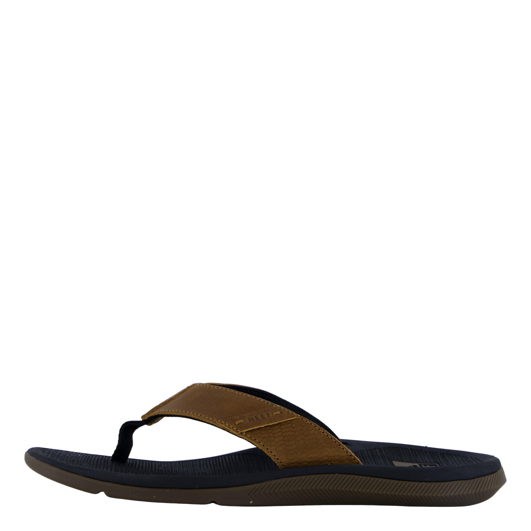 Santa Ana Le Black And Tan