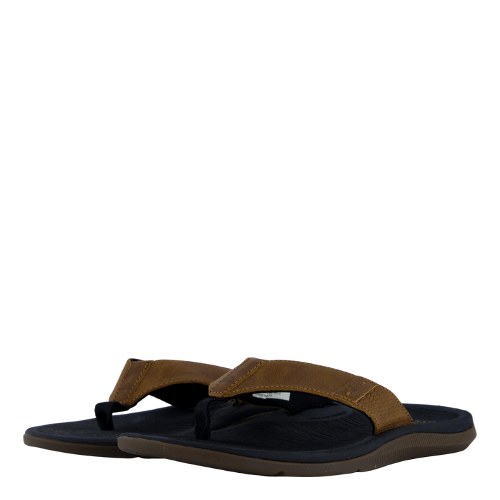 Santa Ana Le Black And Tan