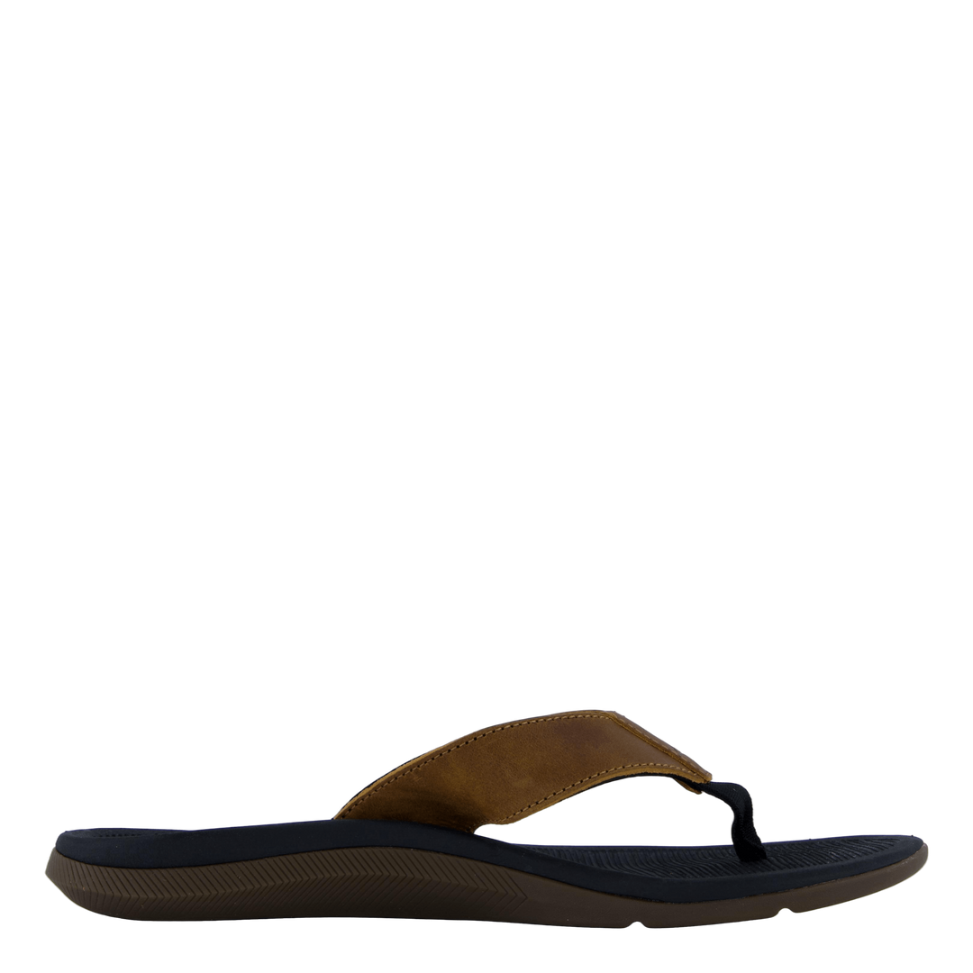 Santa Ana Le Black And Tan