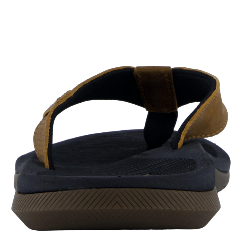 Santa Ana Le Black And Tan