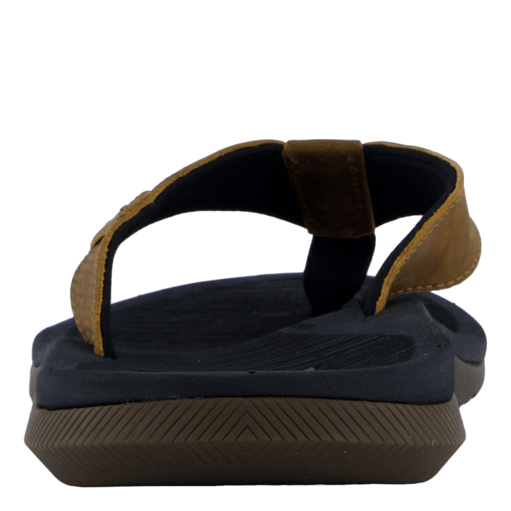 Santa Ana Le Black And Tan