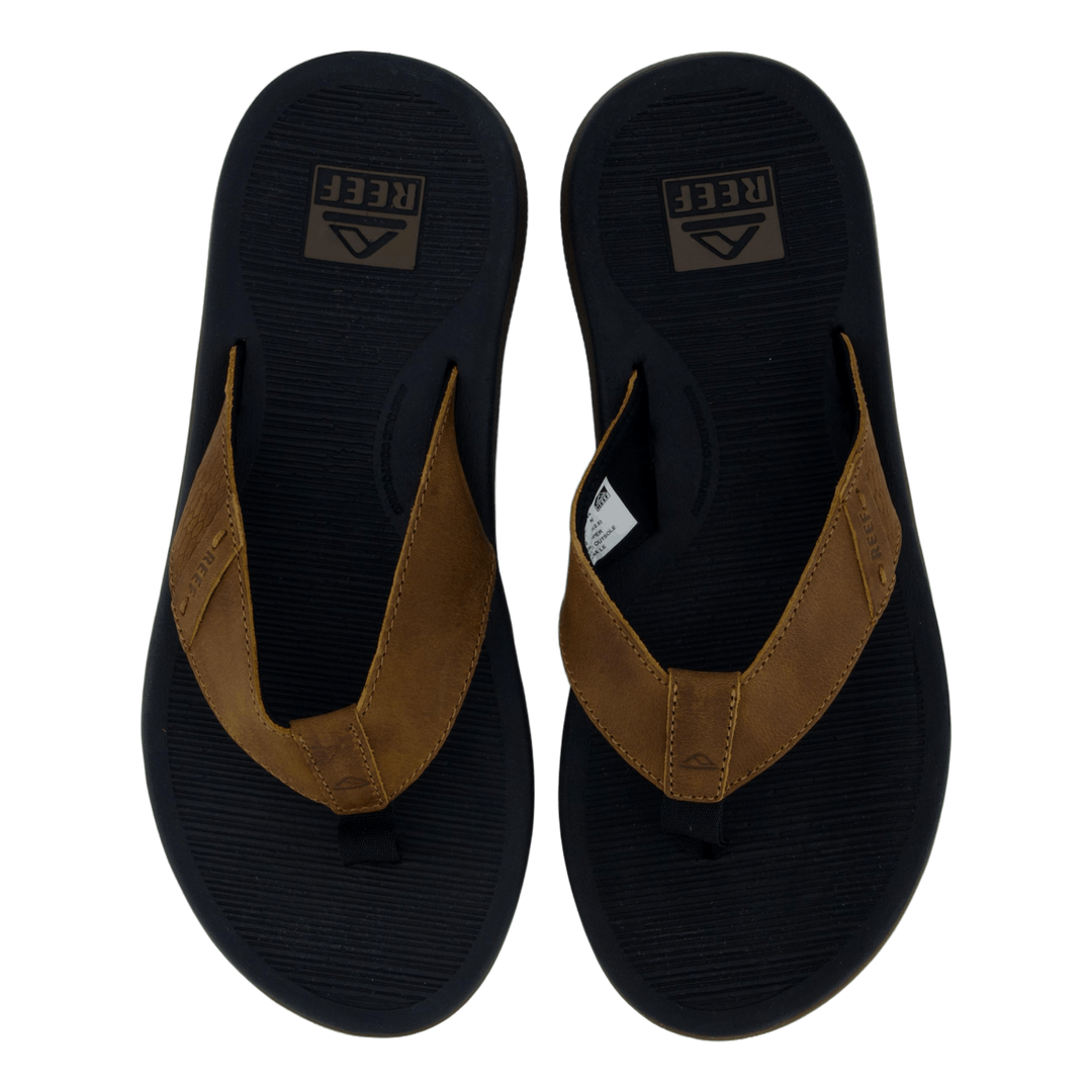 Santa Ana Le Black And Tan