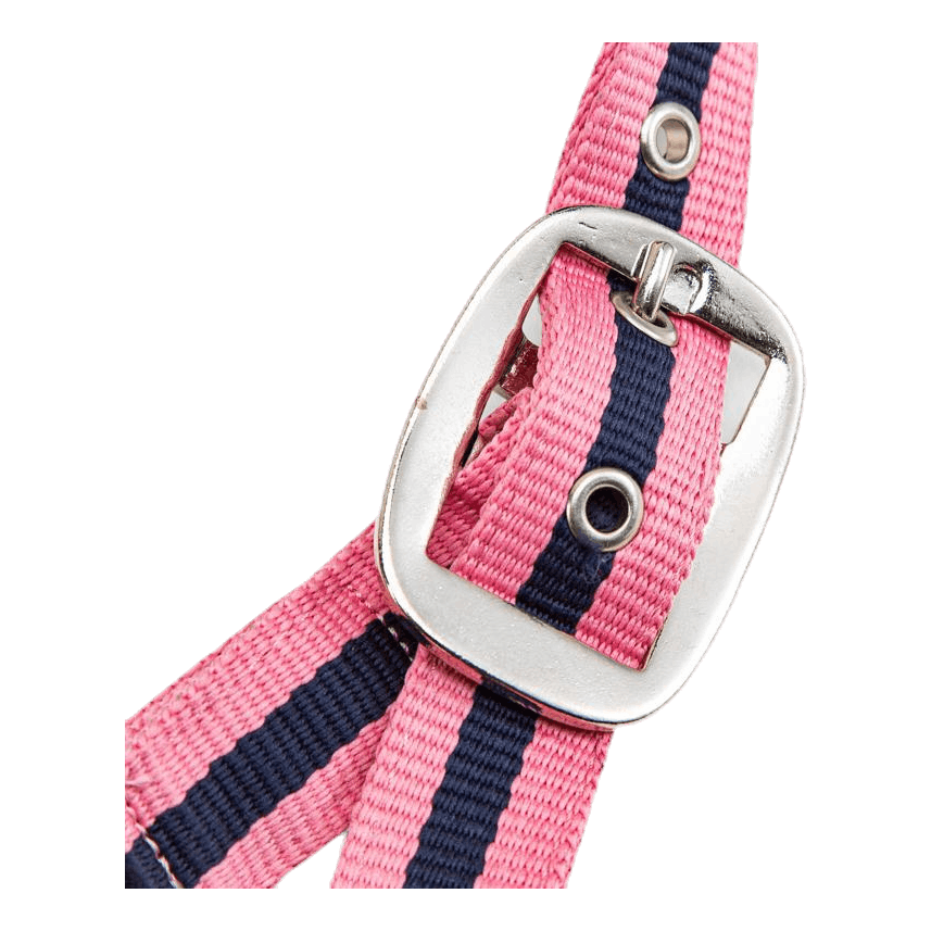 Pony Pals Halter Blue/Pink