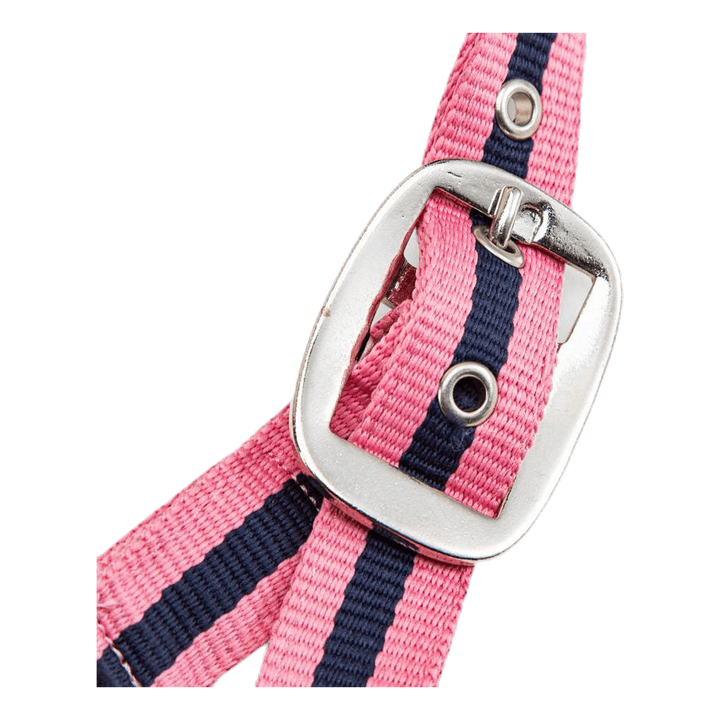 Pony Pals Halter Blue/Pink