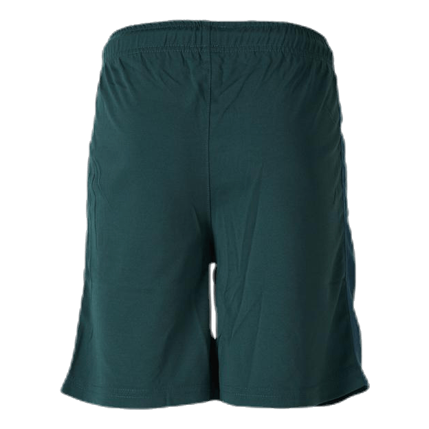 Shorts X-Cool Green