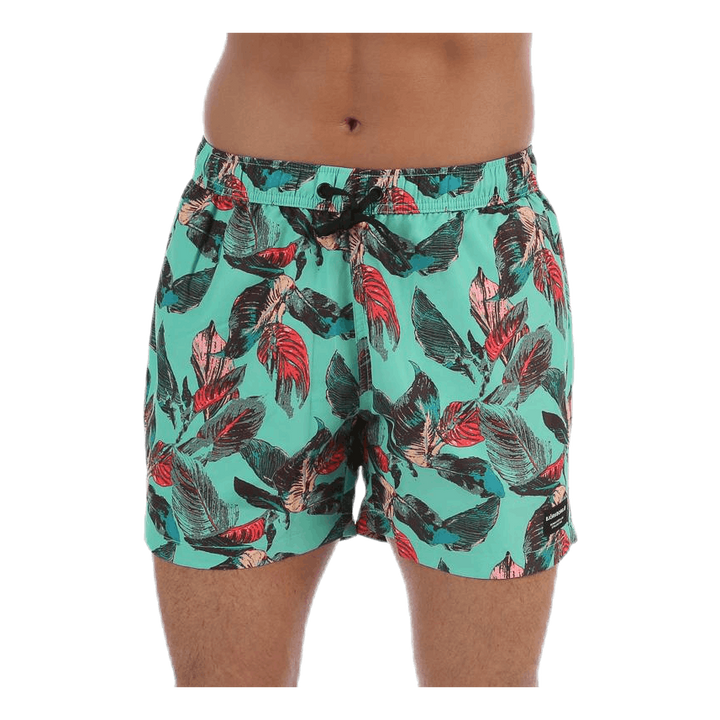 Sylvester Swimshorts Blue/Pink/Green