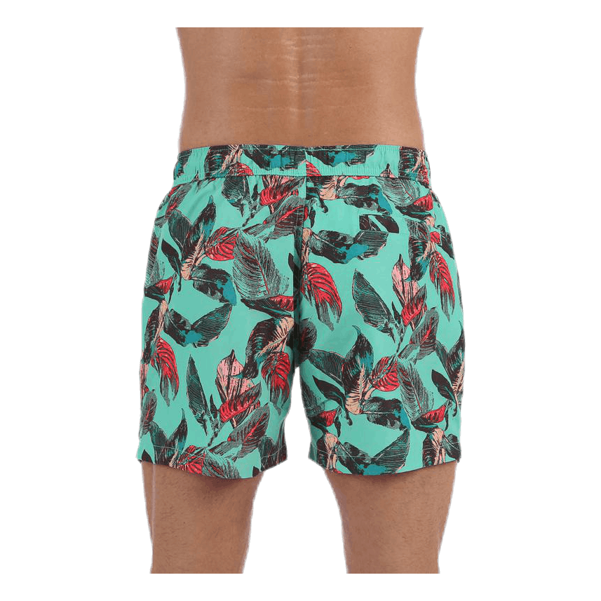Sylvester Swimshorts Blue/Pink/Green