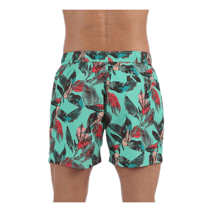 Sylvester Swimshorts Blue/Pink/Green