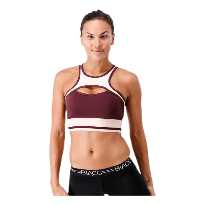 Hop Sports Bra  Purple/Pink/White