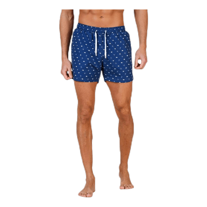 Polar Apollo Blue