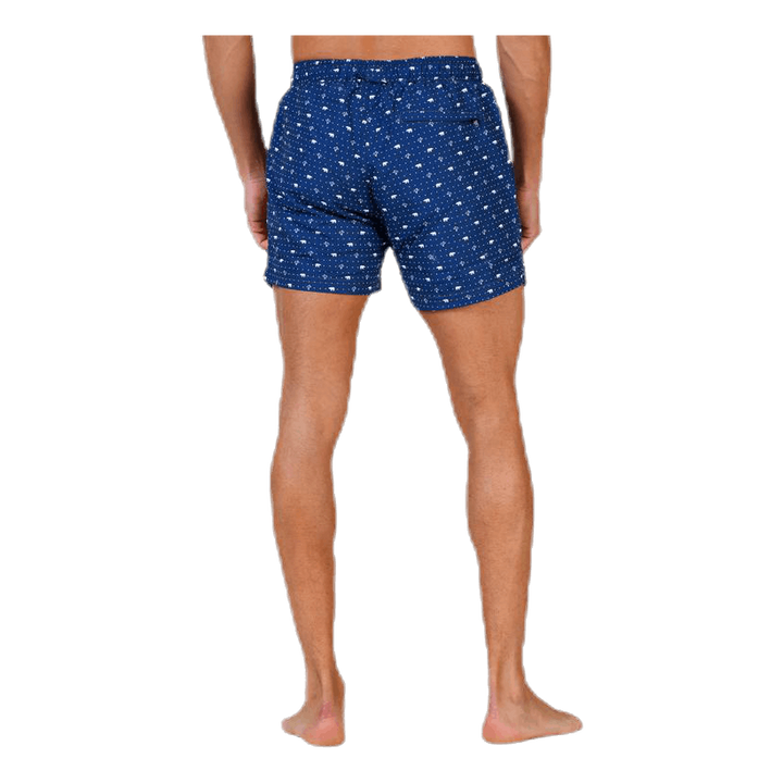 Polar Apollo Blue