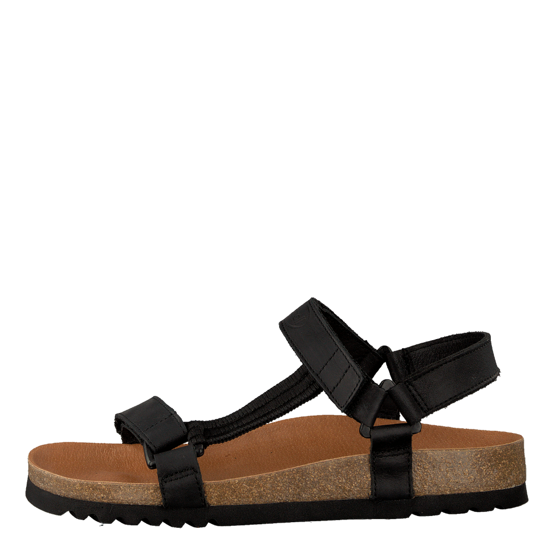 Heaven AD Black