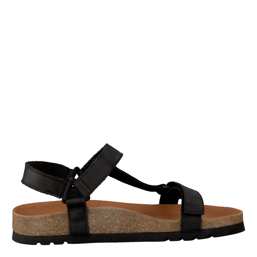 Heaven AD Black