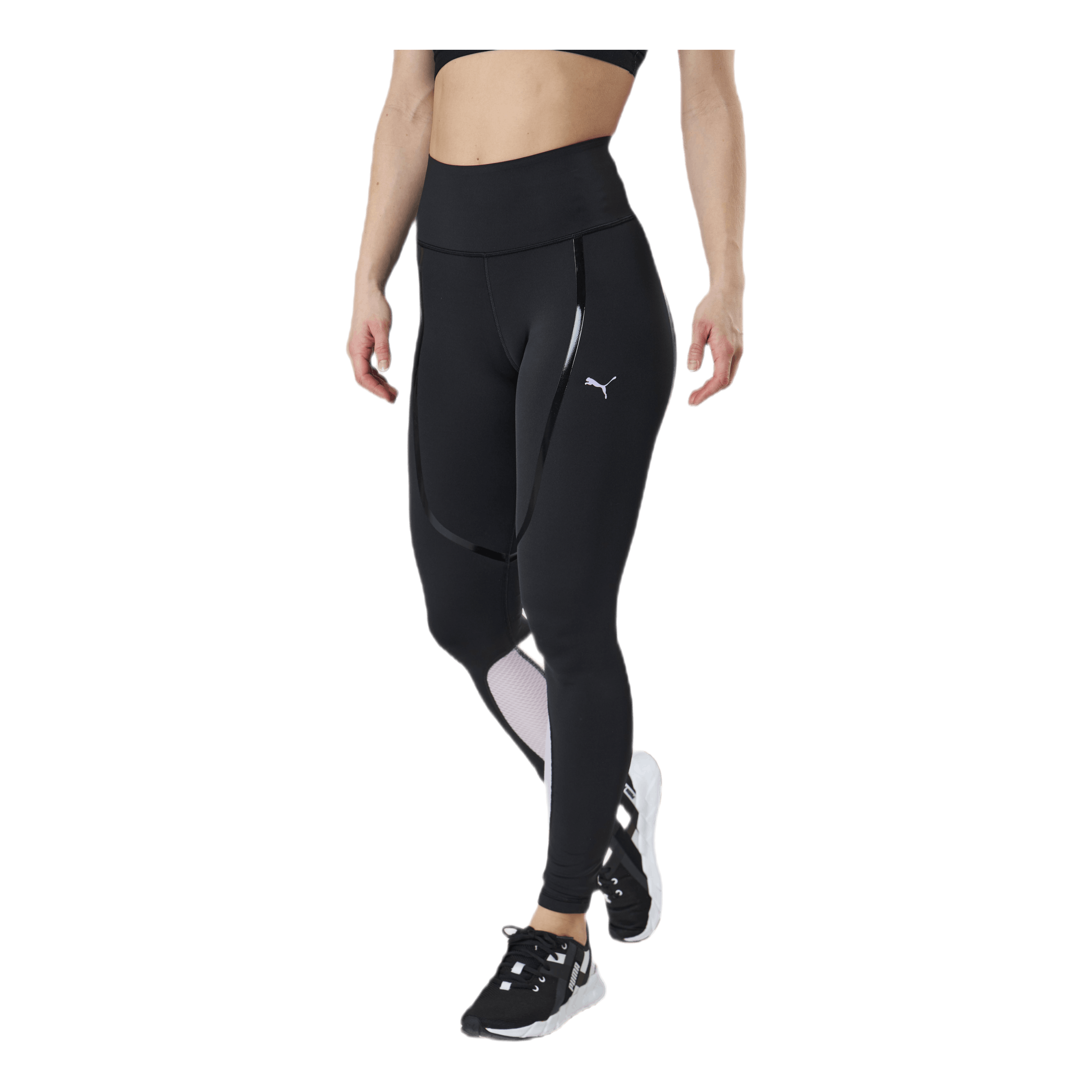 Puma ignite best sale long tight