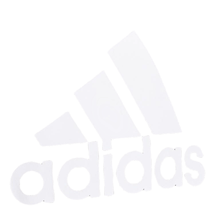 Adidas Boys Essentials Big Logo Sweatshirt Black / White