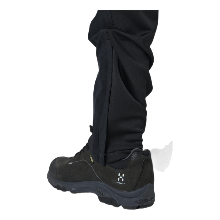 Dorr Black