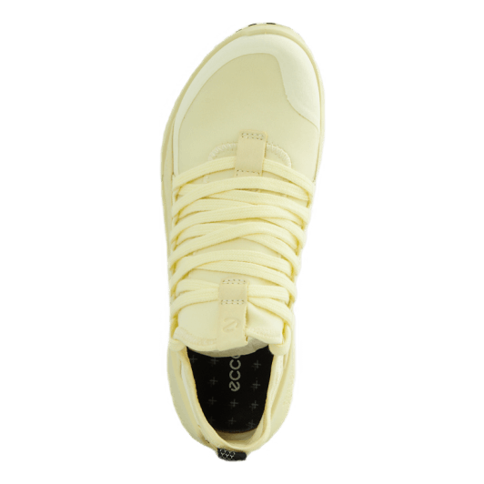 Biom 2.0 Low Tex Sherbet