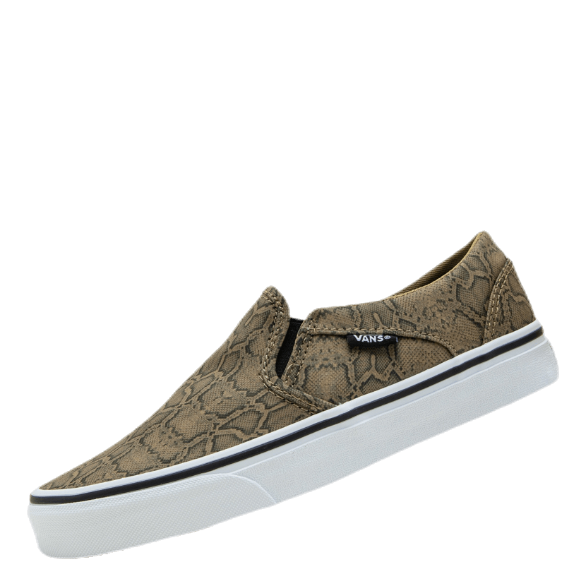 Asher Patterned
