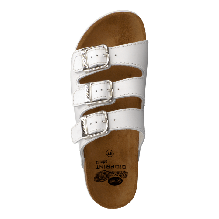 Rio WG AD White