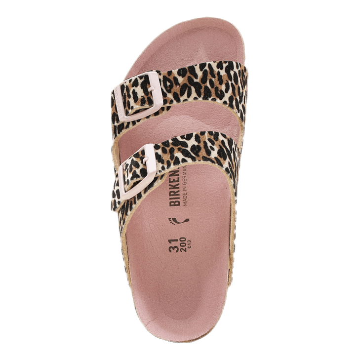 Arizona Kids Patterned
