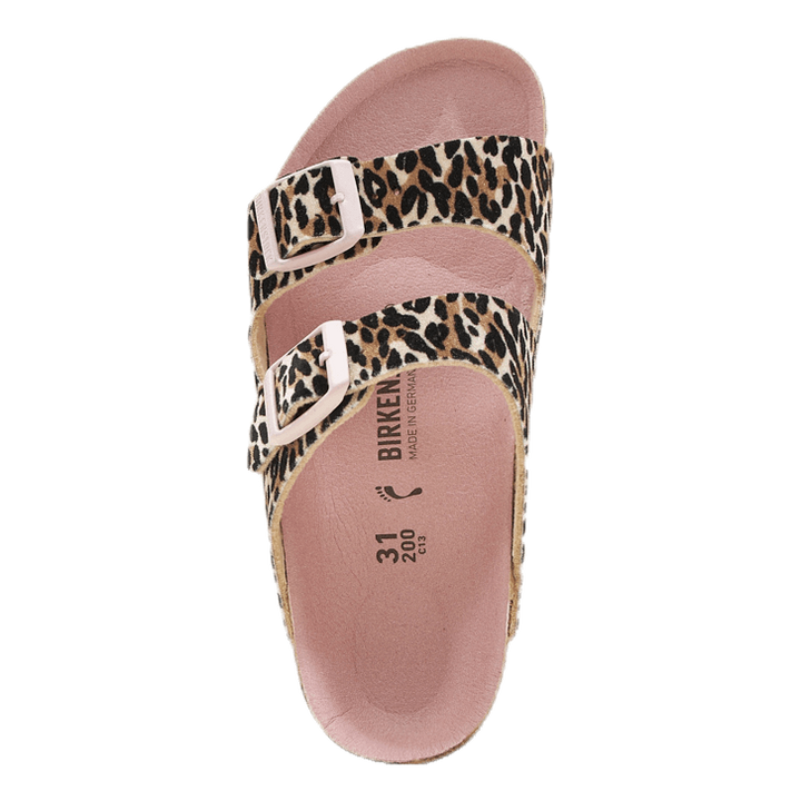 Arizona Kids Patterned