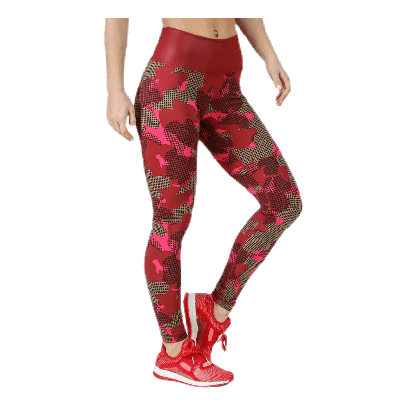 believe this high rise tights