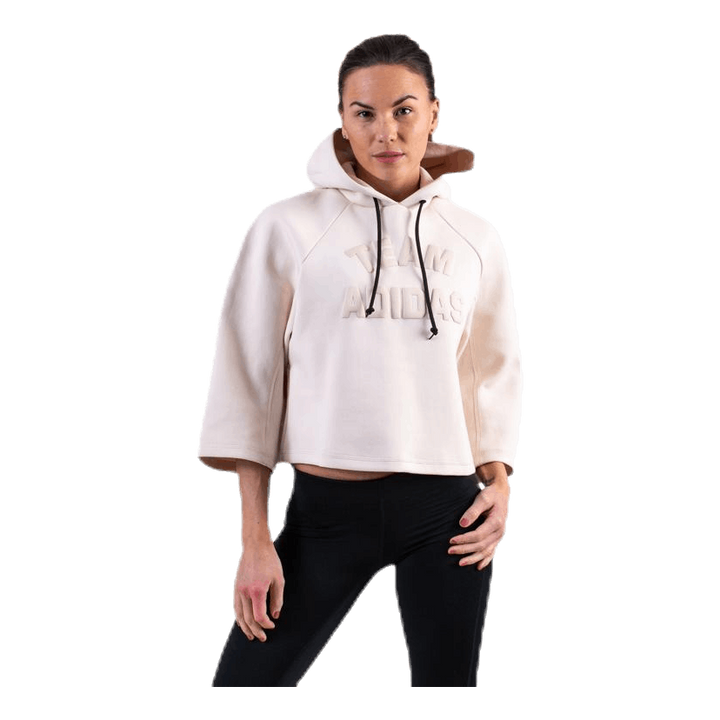 VRCT Hoodie Purple