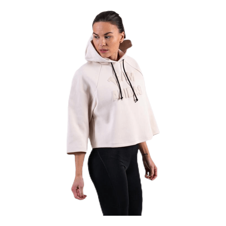 VRCT Hoodie Purple