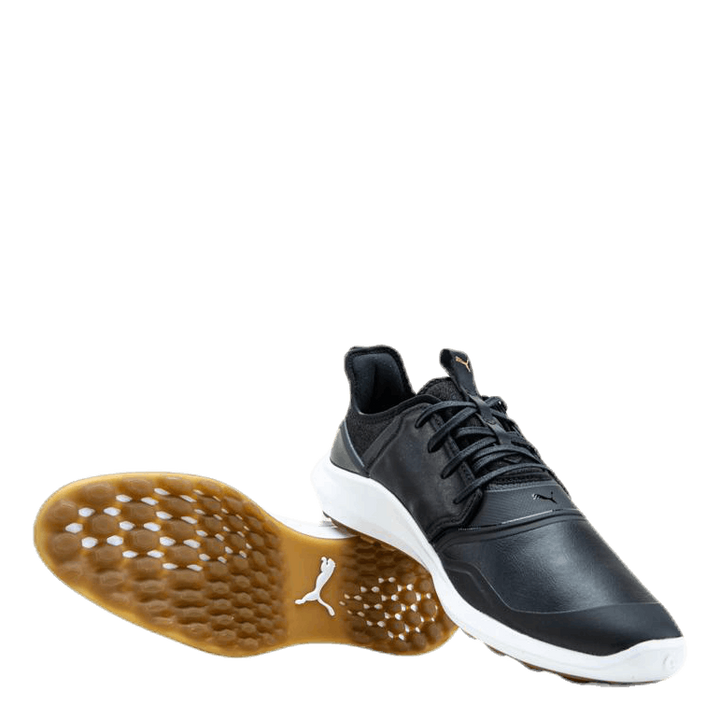 Ignite Nxt Crafted Black