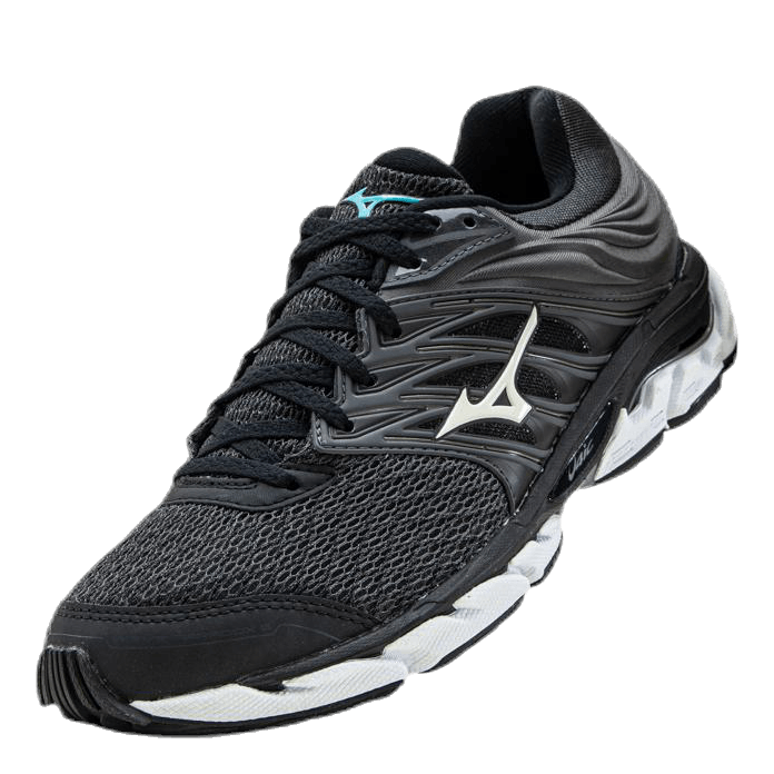 Wave Paradox 5  Patterned