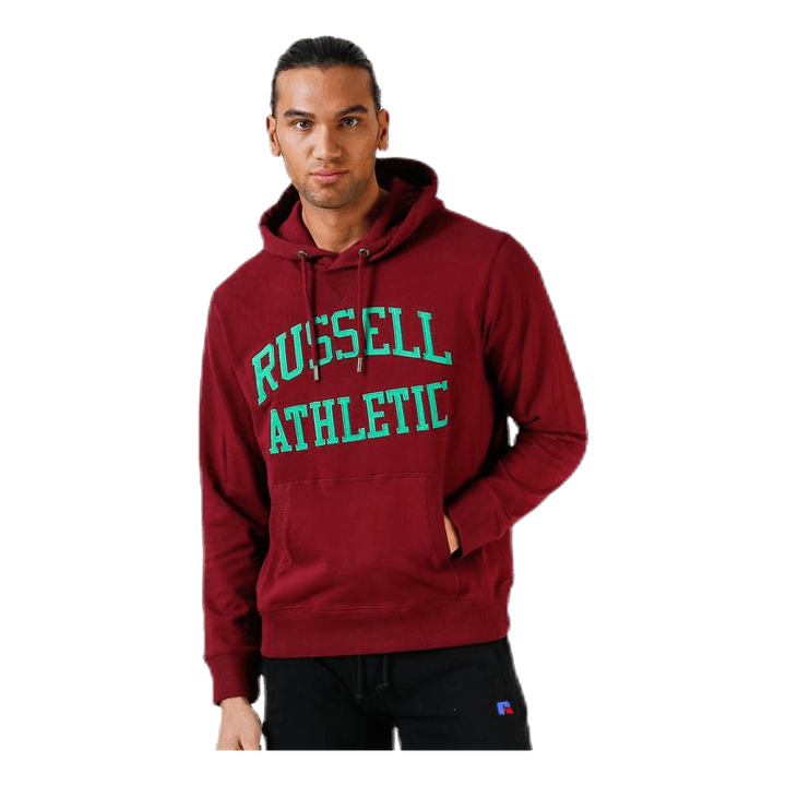 Iconic Twill Hoodie Purple