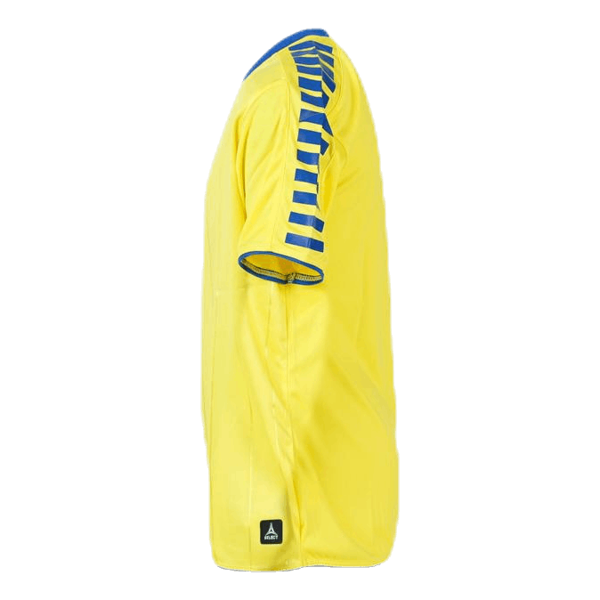 Player Shirt S/S Argentina Blue/Yellow