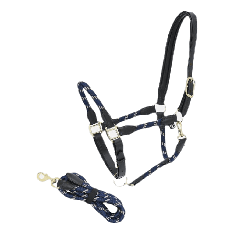 Round Leather Halter & Leadrope Blue
