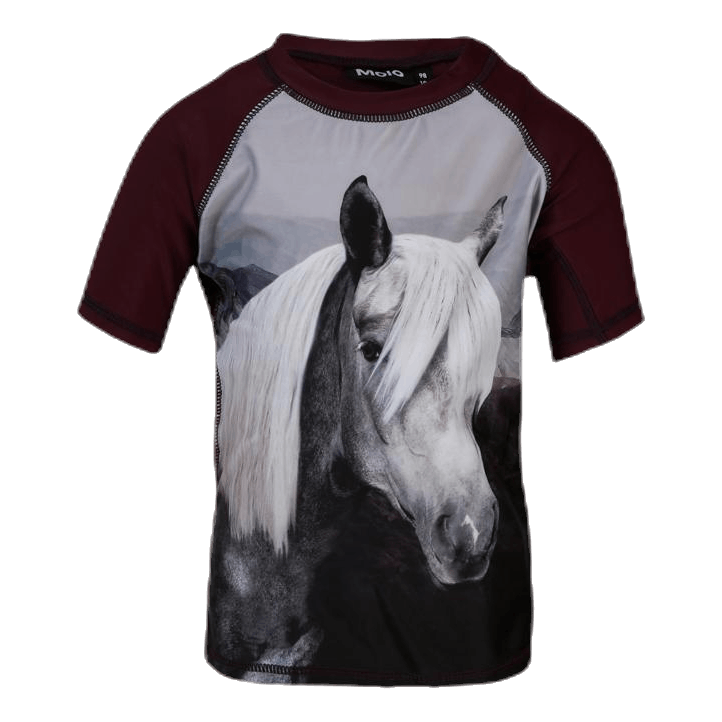 Neptune Rashguard Purple