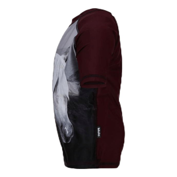 Neptune Rashguard Purple