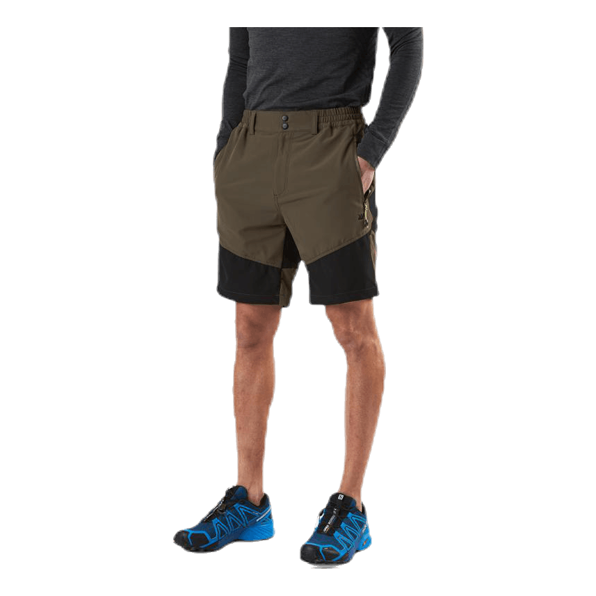 Avian Stretch Shorts Green