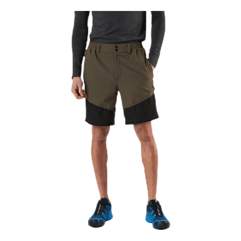 Avian Stretch Shorts Green