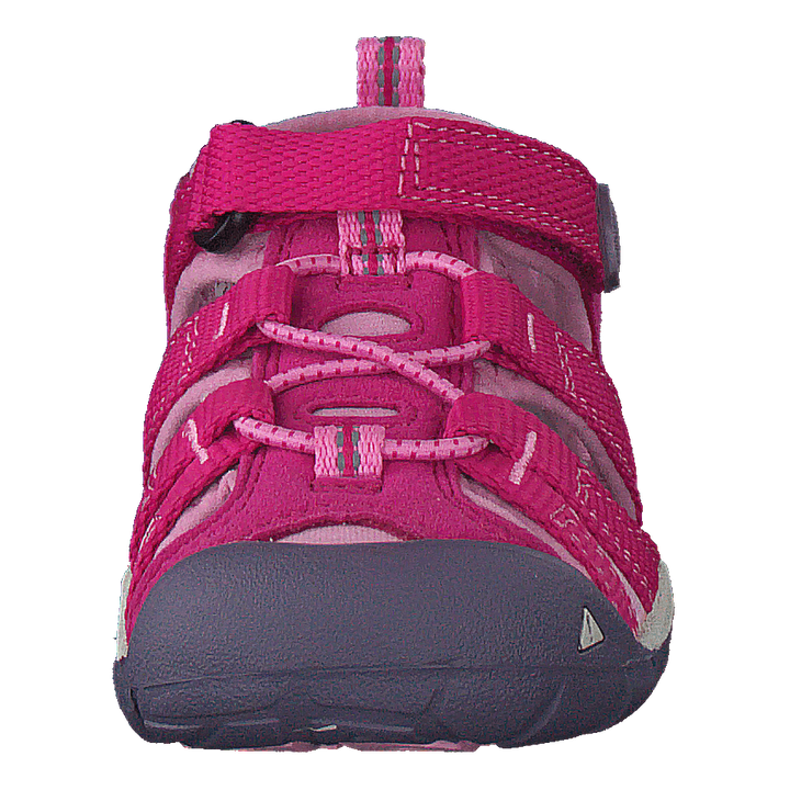 Seacamp Ii Cnx Tots Very Berry/lilac Chiffon